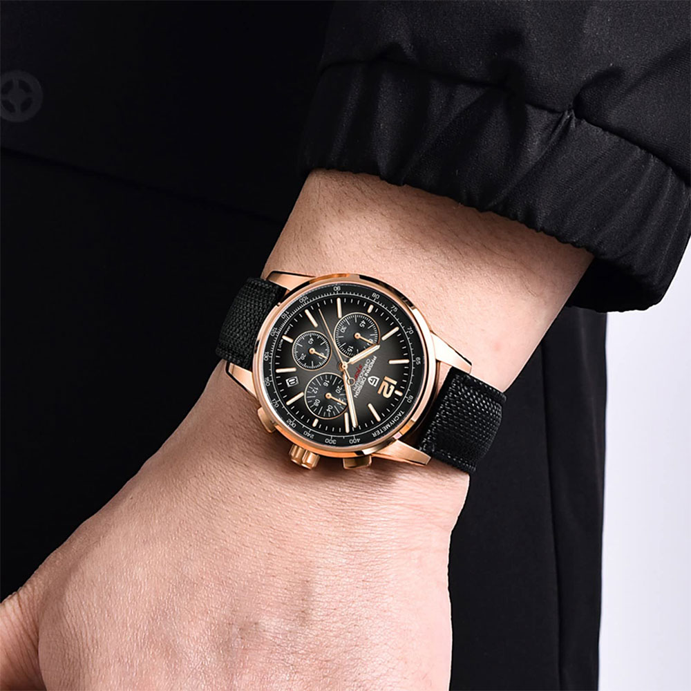 PAGANI DESIGN New Mens Watch 4 - огляд і ціна Luxury Lifestyle Men